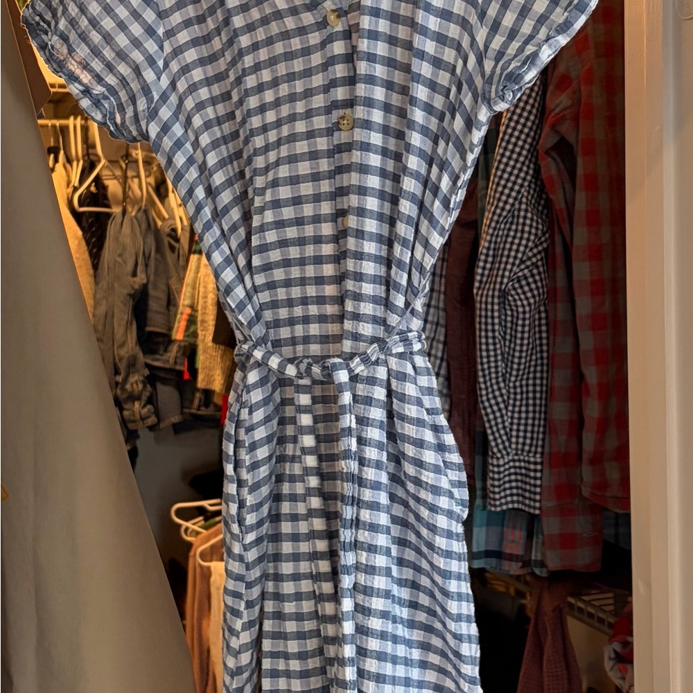 Anthropologie Blue and White Checkered Kids Dress
